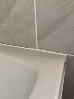 Snagging Report - Poor Silicone